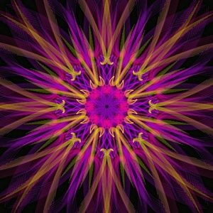 Meet your Posher, Kristine